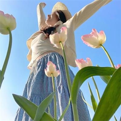 飞行堡垒海报