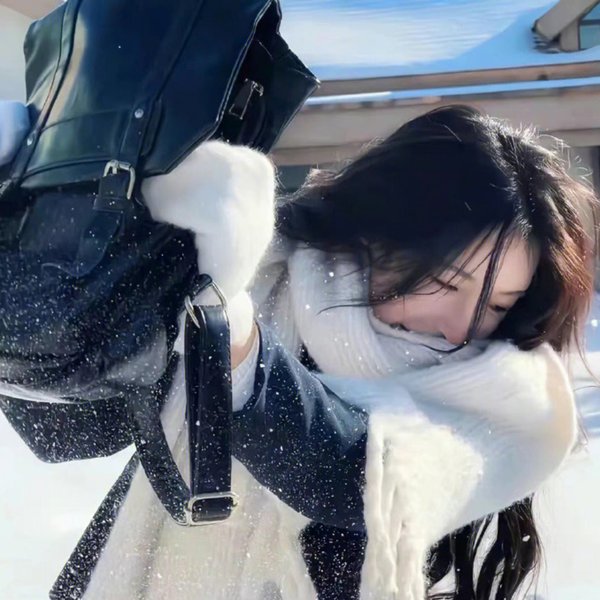 本色兵海报