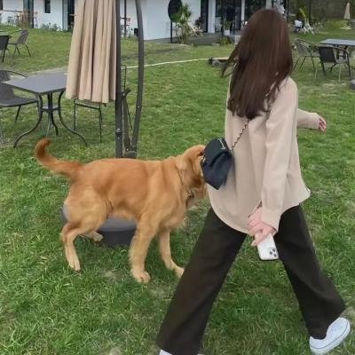 小意外海报