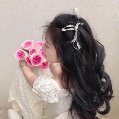 马里纳莱达海报